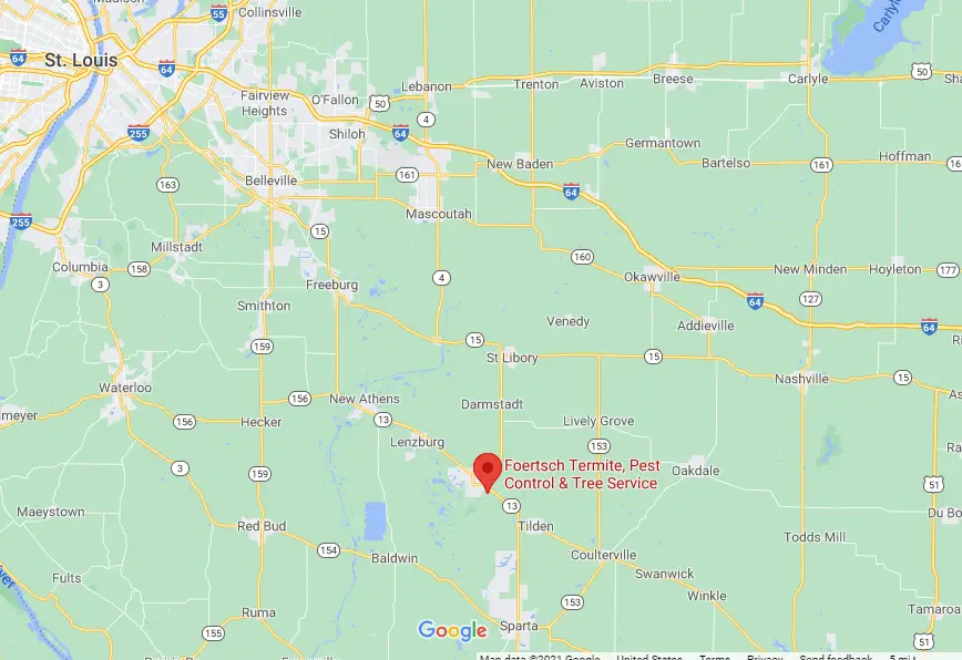 termite and pest control service in marissa il